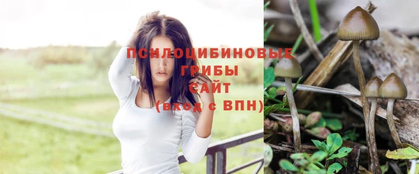 МДПВ Зеленокумск