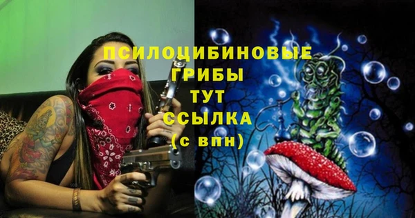 МДПВ Зеленокумск