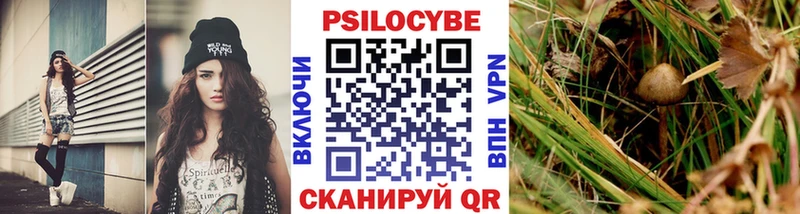 Галлюциногенные грибы MAGIC MUSHROOMS  Купить где  Балашиха 